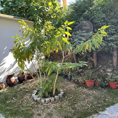 Casa Do Kiko *